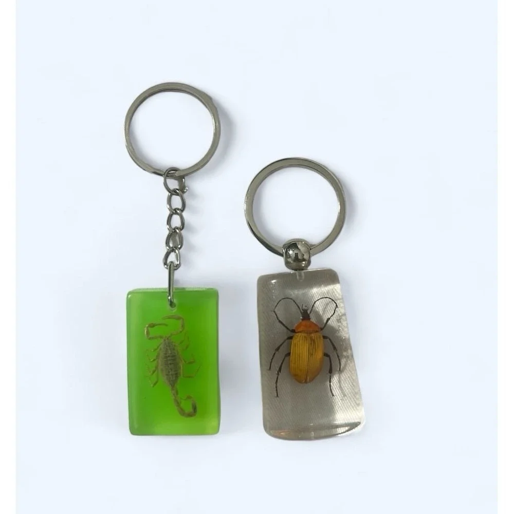 BUG KEYCHAINS SCORPION AND BEETLE PD1-89